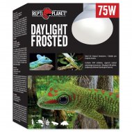 rovka REPTI PLANET Daylight Frosted 75W