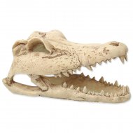 REPTI PLANET Krokodl lebka z akvria13,8cm