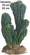 Hobby Kaktus Victoria 1, 19cm