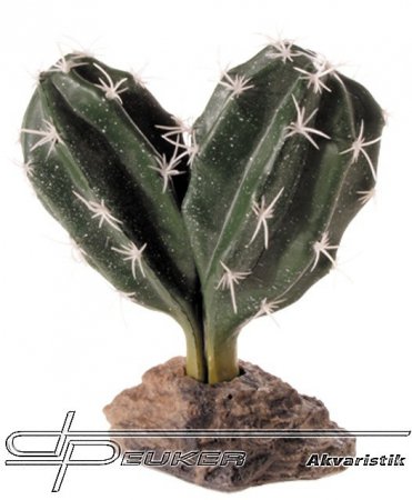 Hobby Kaktus Sinai, 13cm