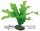 Hobby Echinodorus 20cm, uml rostlina