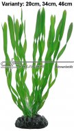 Hobby Vallisneria 20cm, uml rostlina