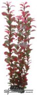 Hobby Ludwigia 34cm, uml rostlina