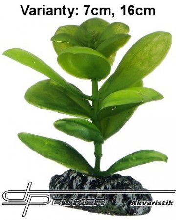 Hobby Saururus 7cm, uml rostlina
