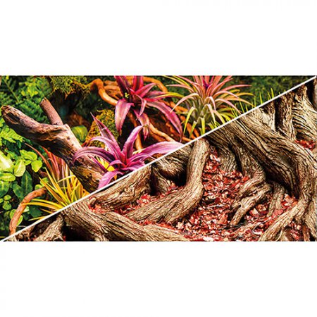 Hobby fototapeta Colorful Jungle / Strangler Fig, 60cm