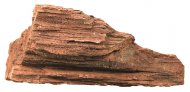Timber Rock 4, zkamenl devo