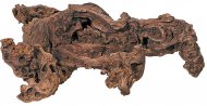 Savanov devo, Savannenholz M, 25 - 35 cm