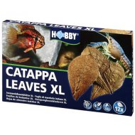 HOBBY Catappa Leaves XL, 12 St.