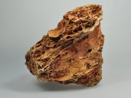 Zkamenl list - kmen S 0,8 - 1,2 kg