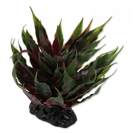 REPTI PLANET sukulent Agave zelen 18 cm