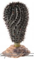 Hobby Kaktus Gobi, 14cm
