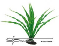 HOBBY Crinum 29cm