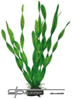 HOBBY Vallisneria 34cm