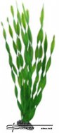 HOBBY Vallisneria 46cm