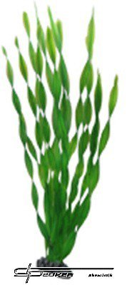 Hobby Vallisneria 46cm, uml rostlina