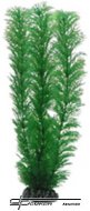 HOBBY Egeria 20cm