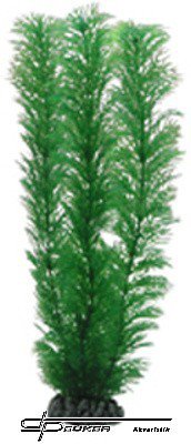 HOBBY Egeria 20cm