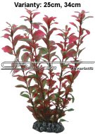 Hobby Ludwigia 25cm, uml rostlina