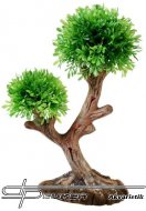 Hobby Aqua Tree 2, 21x6x12cm