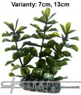 Hobby Bacopa 7cm, umělá rostlina