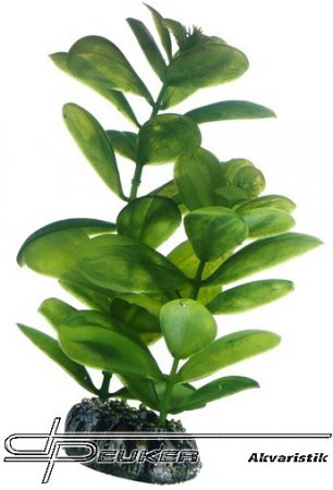 HOBBY Saururus 16cm