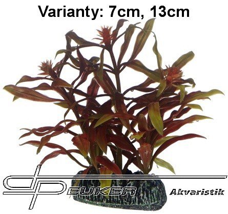 HOBBY Nesaea 7cm