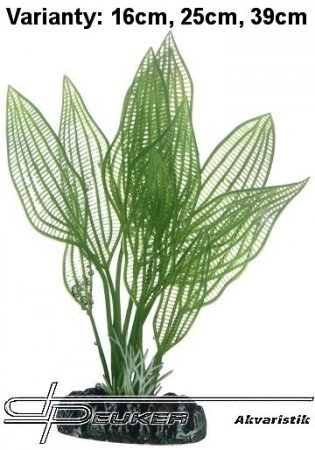 HOBBY Aponogeton 16cm