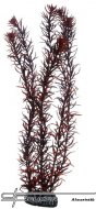 Hobby Eusteralis 39cm, uml rostlina
