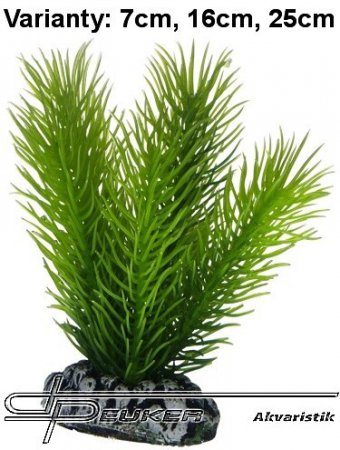 HOBBY Mayaca 7cm
