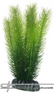 HOBBY Mayaca 16cm