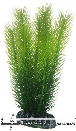 HOBBY Mayaca 16cm