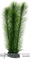 HOBBY Mayaca 25cm