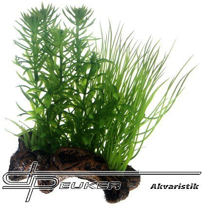 HOBBY Flora root 2, 17cm