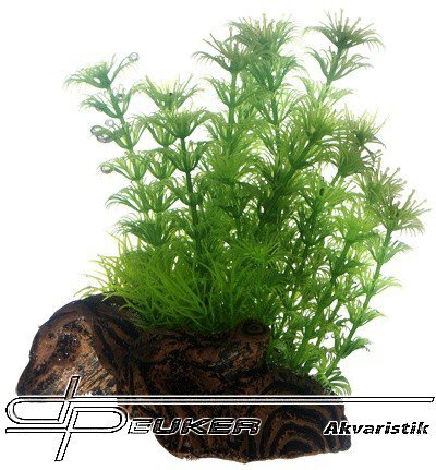 HOBBY Flora root 3, 17cm