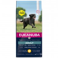 EUKANUBA Adult Large Breed