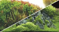 HOBBY Fototapeta oboustrann River / Green Rocks, 50 cm