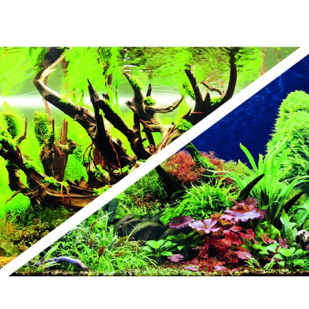 HOBBY Fototapeta oboustrann  "Green secret/Wood Island", vka  30cm