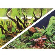 HOBBY Fototapeta pez oboustrann  Green Secret/Wood Island, 100 x 50 cm, SB