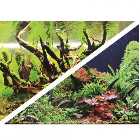 HOBBY Fototapeta pez oboustrann  Green Secret/Wood Island, 120x50cm, SB