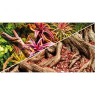 Hobby fototapeta Colorful Jungle / Strangler Fig, 30cm