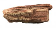 Timber Rock 1, zkamenl devo