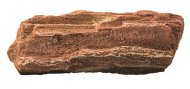 HOBBY Timber Rock 2, zkamenl devo