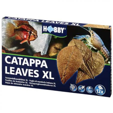 Catappa Leaves XL, 12 St., SB