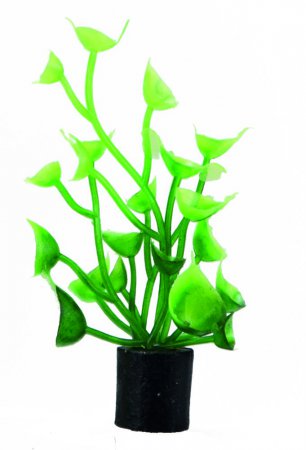 HOBBY Cardamine mini