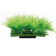 HOBBY Plant Pad 2