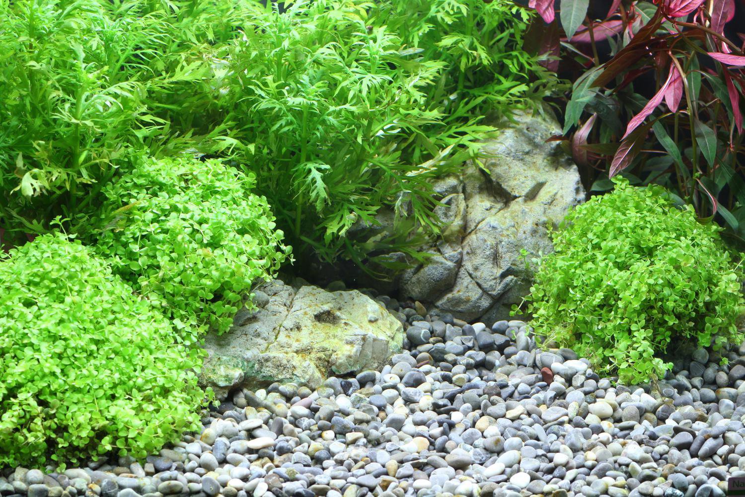 Грунт на пол аквариума