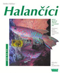 Halanci