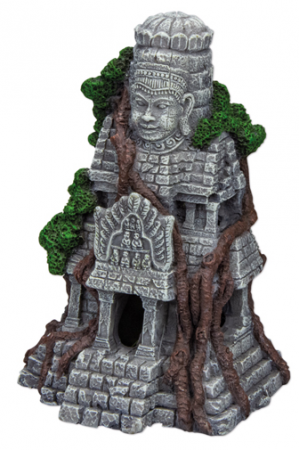HOBBY Lakshmana