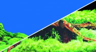 Fototapeta oboustrann Spring / Moss 30cm
