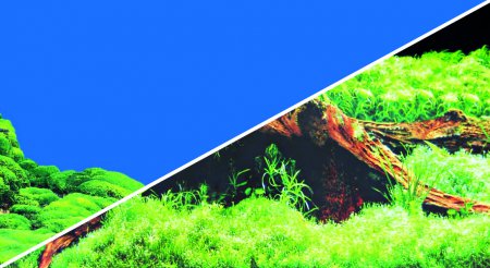 Fototapeta oboustrann Spring / Moss 30cm